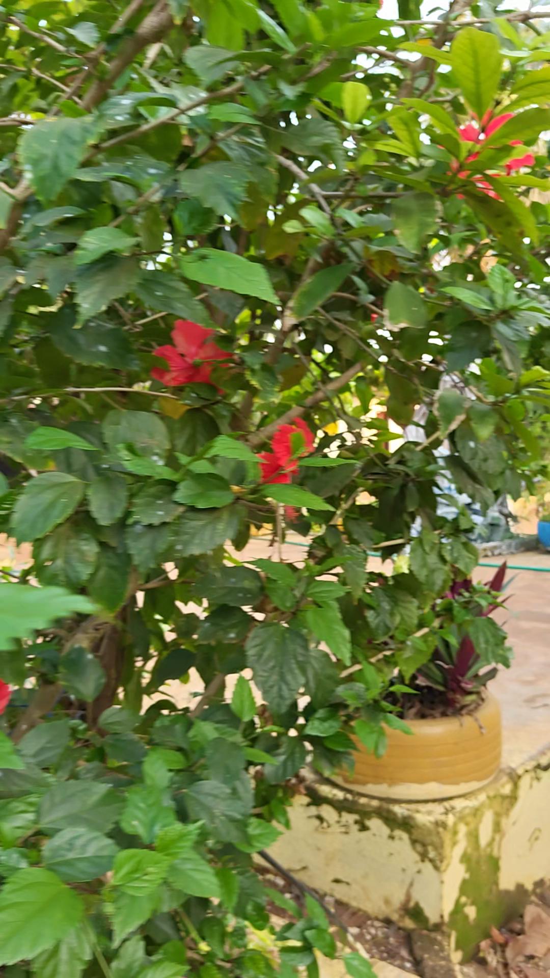 Manan guest house - Tap to explore photos