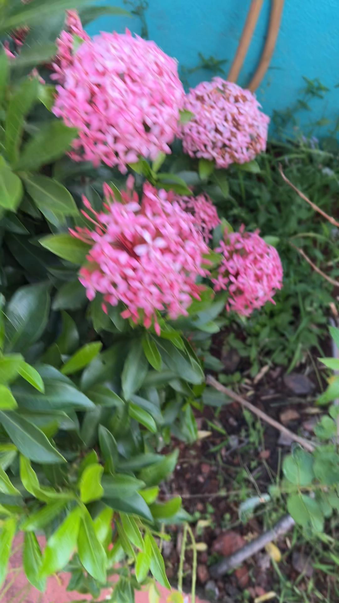 STAN-INN - Tap to explore photos