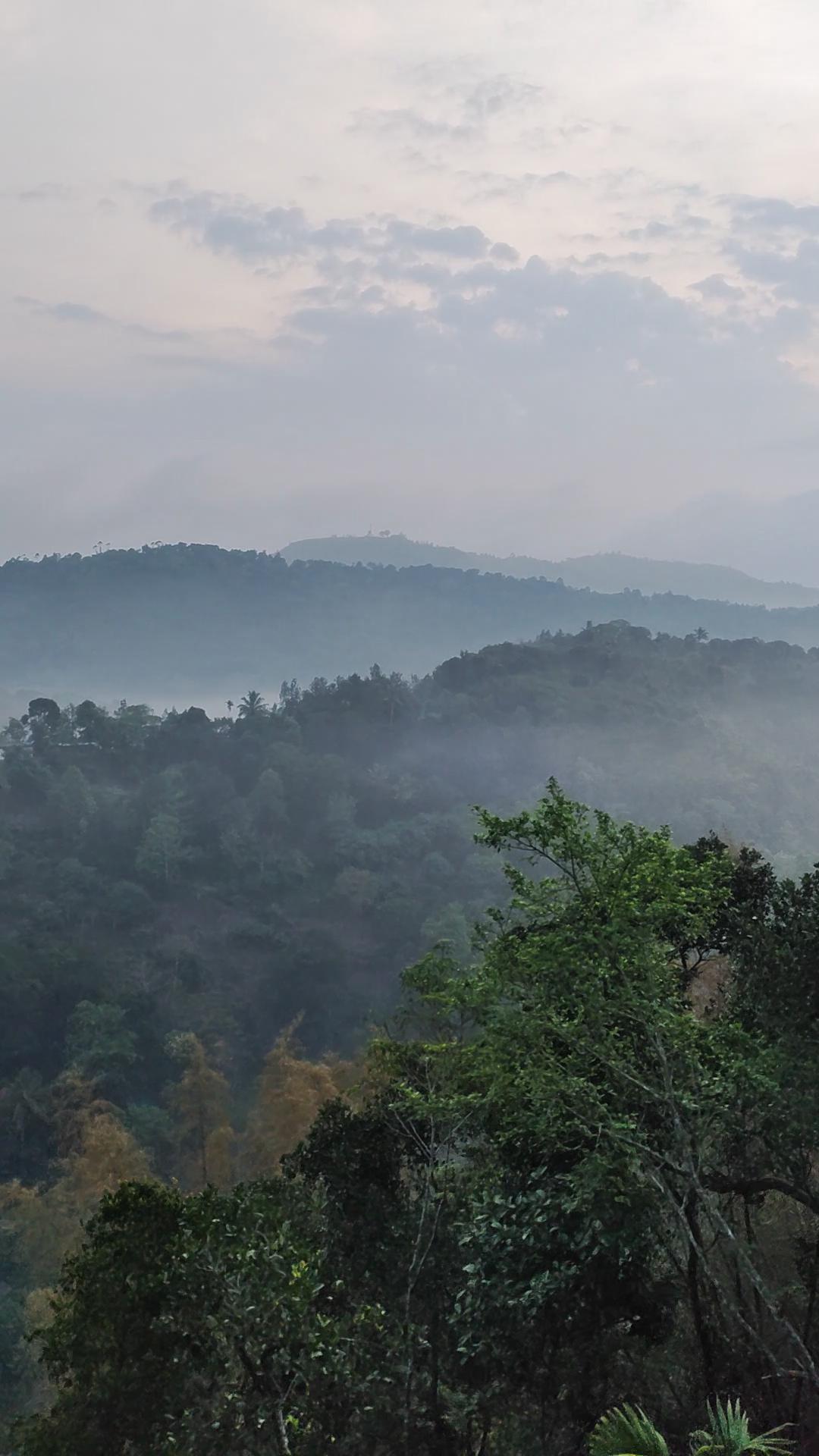 Coffee Camp Home Stay - Tap to explore photos