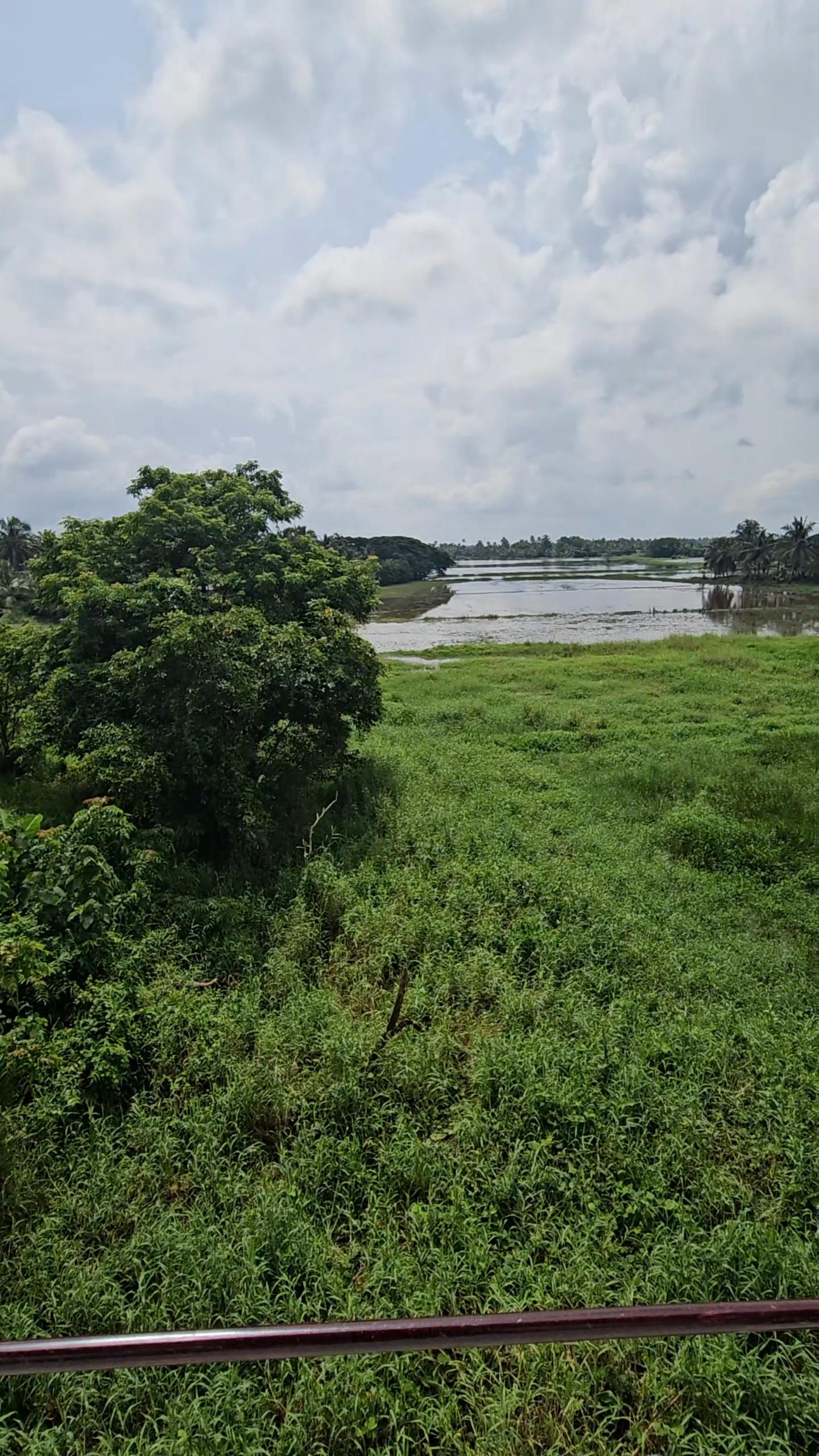 Kumarakom Thanima homestay - Tap to explore photos
