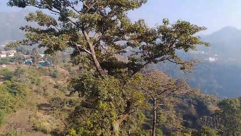 The Mount Breeze -Near By Bhimtal Lake & 19 kms from Kainchi Dham - Tap to explore photos