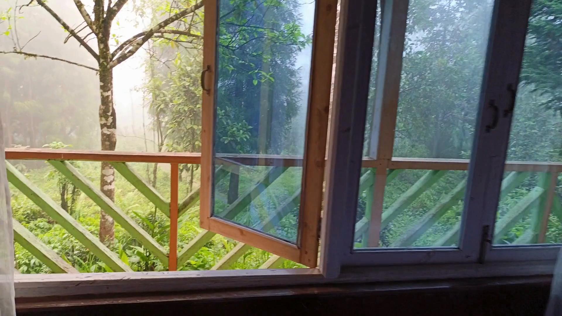 Karmadoma Farmstay - Tap to explore photos