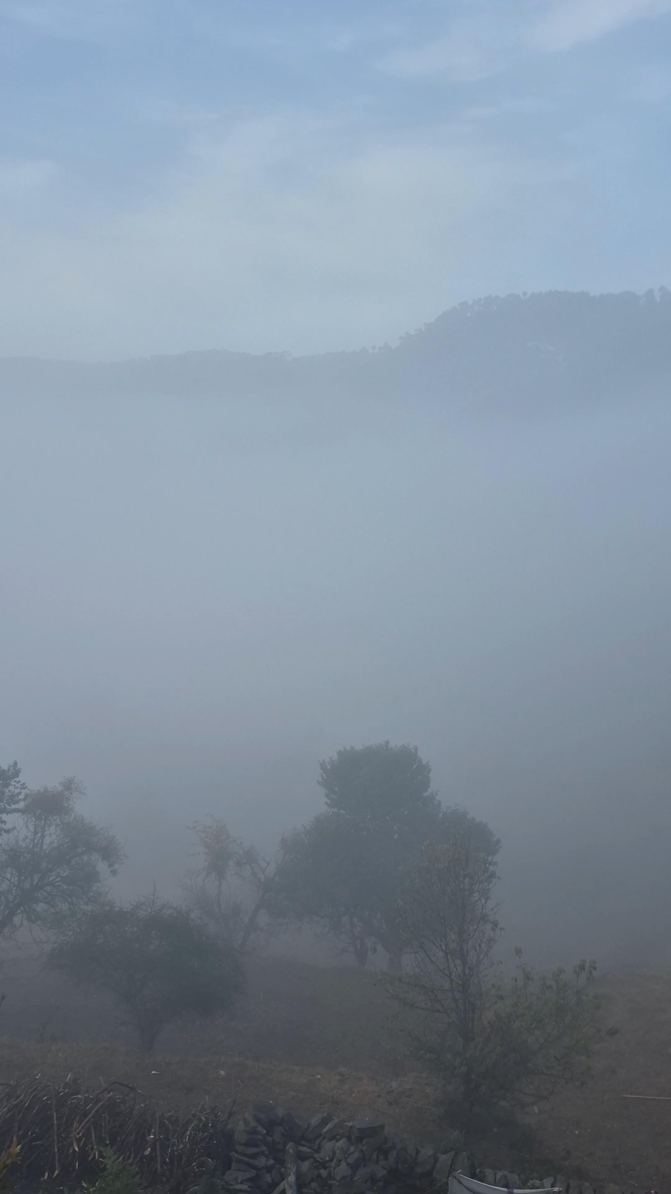 Roaming Rovers - Pet-Friendly & Peaceful Homestay in Almora - Tap to explore photos
