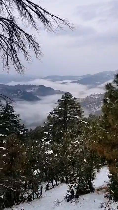 Rama Narayan Homestay - Tap to explore photos