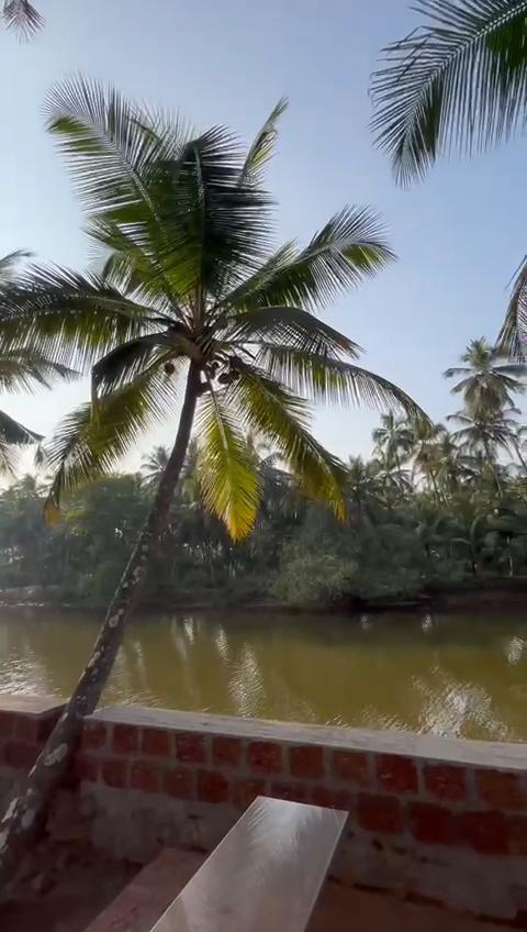 Harsha River View 8-Bed Mixed Dormitory Room - Tap to explore photos