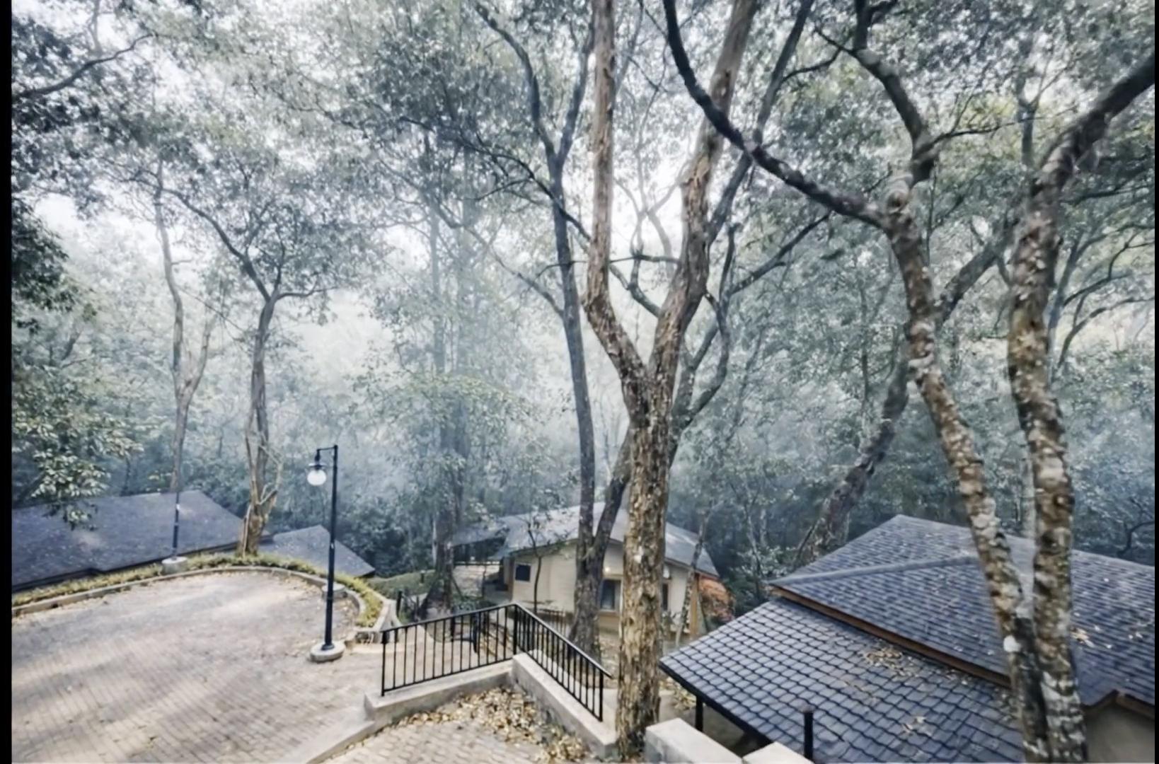 Nirjhara Coorg - Tap to explore photos