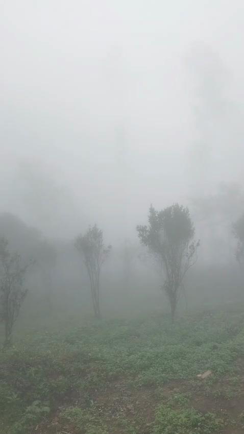 Bhramaram Resort - Tap to explore photos
